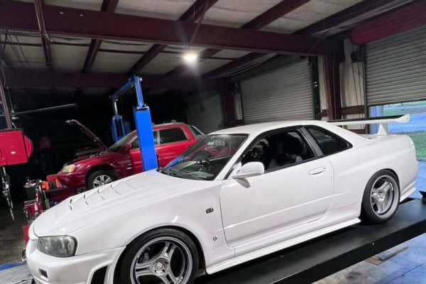 Image: Custom Import in Winter Haven Shop